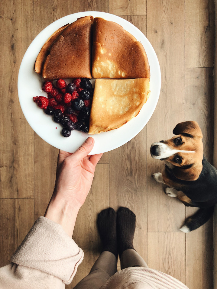 a plate of delicious pancakes and berries and a small dog t20 kL7bbE