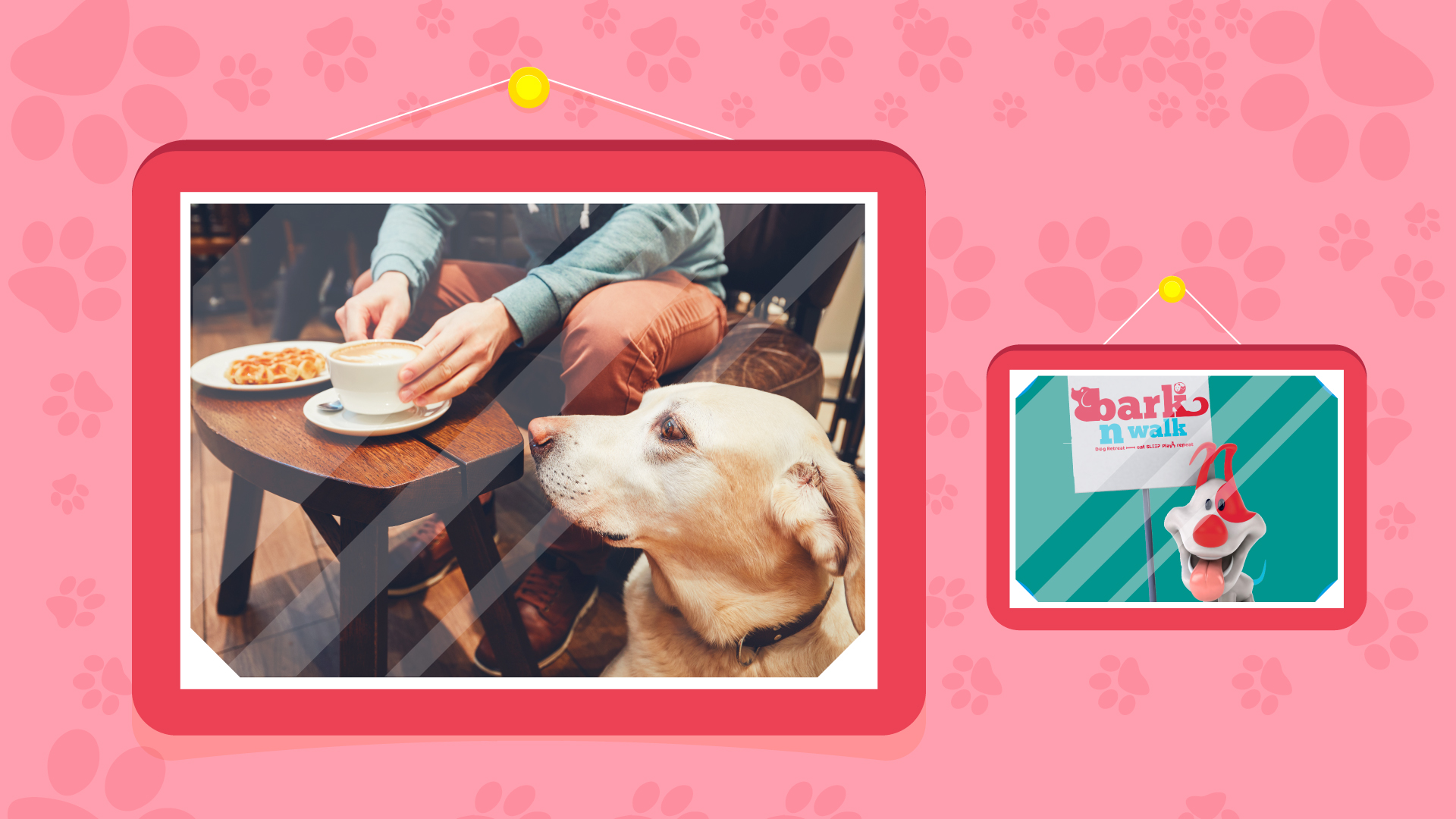 How Dog Cafes Promote A Pet Friendly Environment For You And Your Furry ...