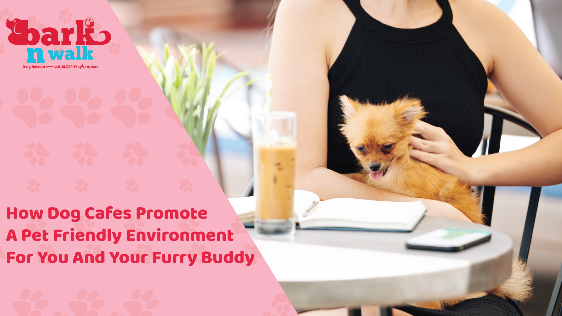 How Dog Cafes Promote A Pet Friendly Environment For You And Your Furry