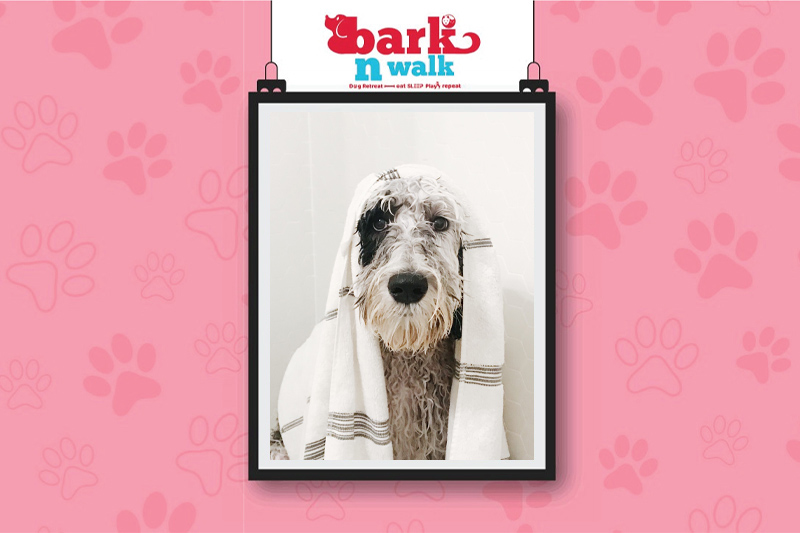 Wash Your Dog! Guide to dog grooming