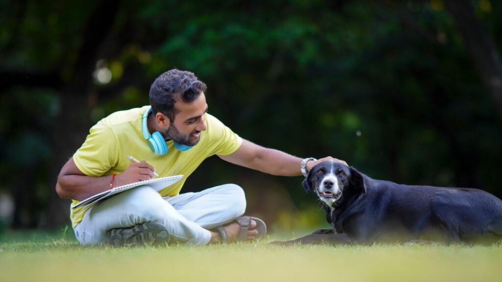 Dog Boarding